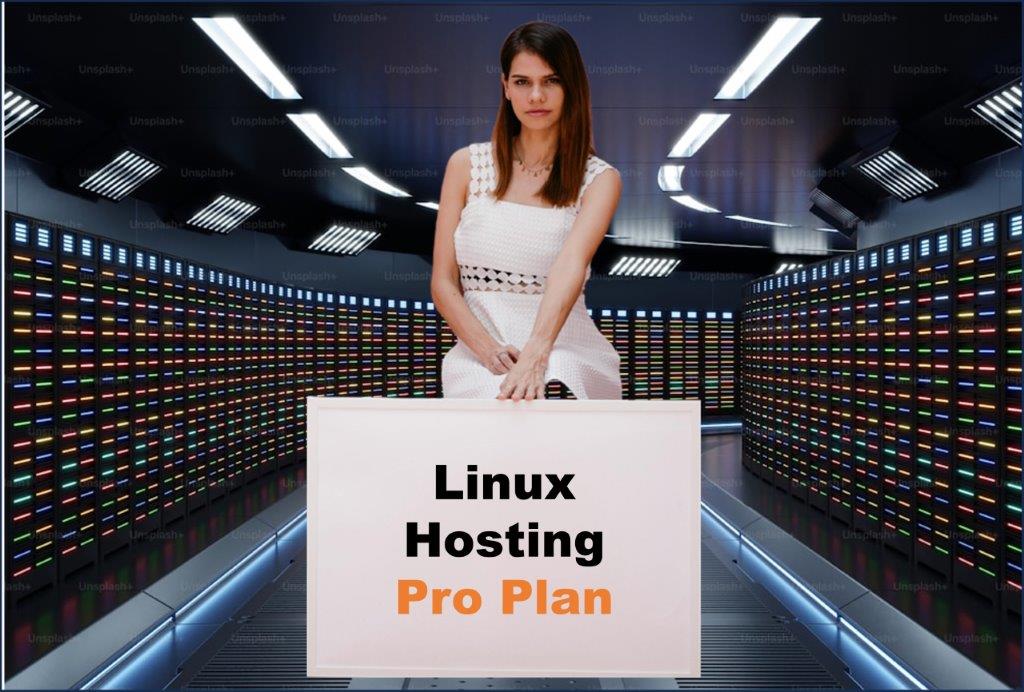 linux hosting windows hosting provider in Boston Massachusetts