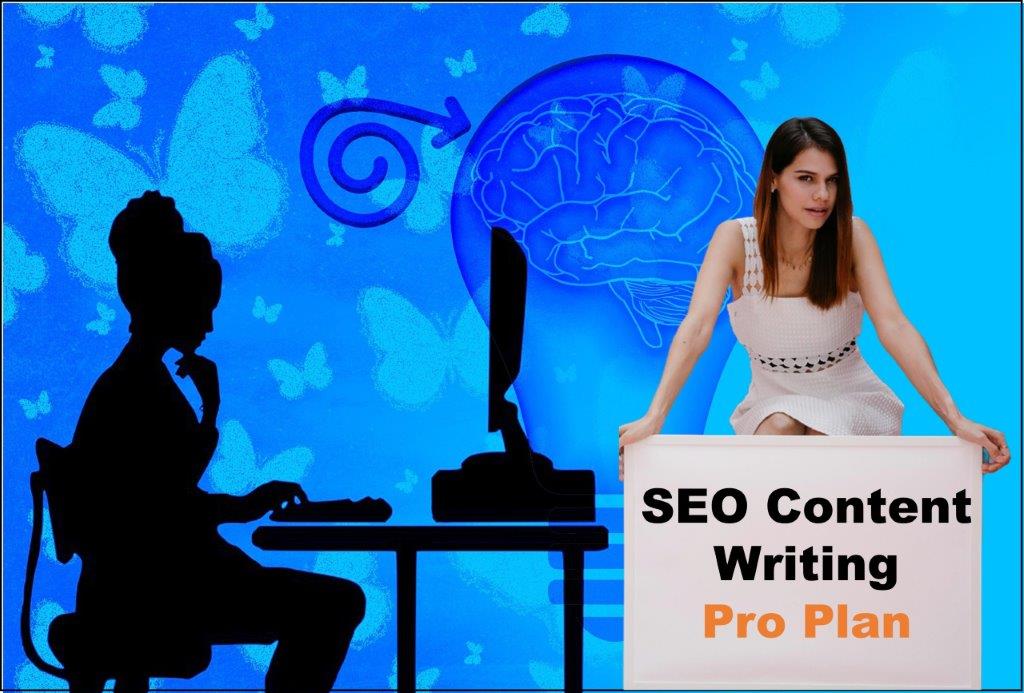 seo content writing agency Boston Massachusetts