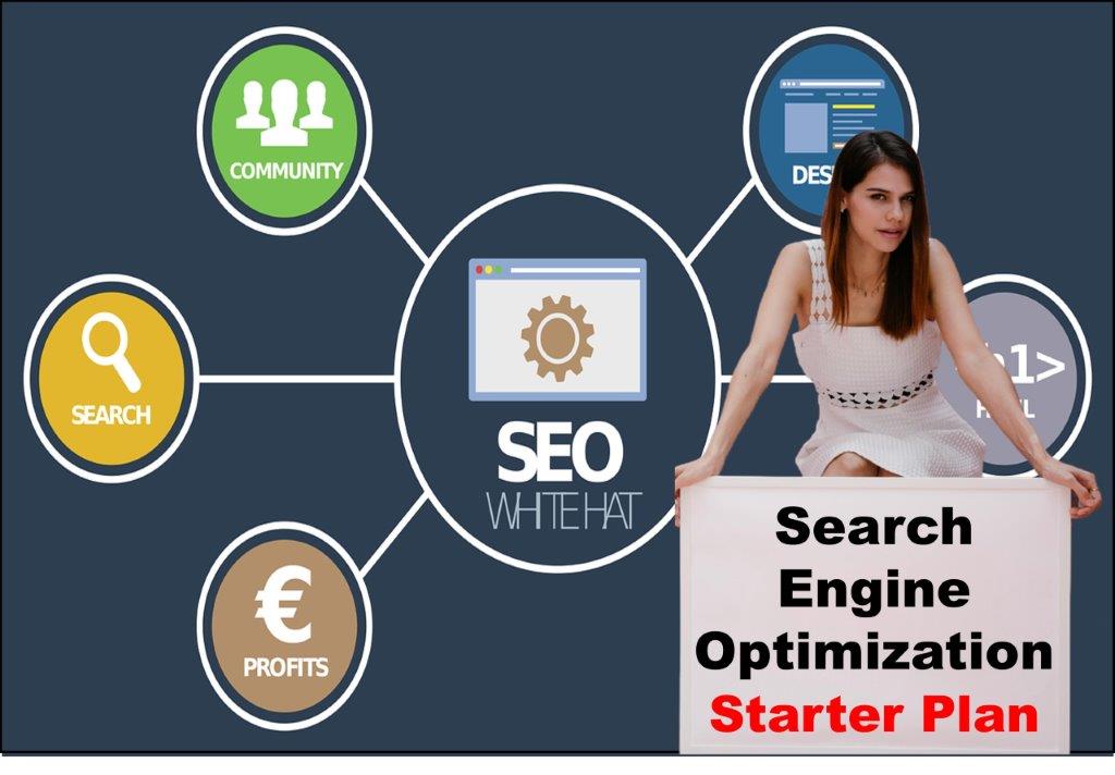 seo service provider in Boston Massachusetts