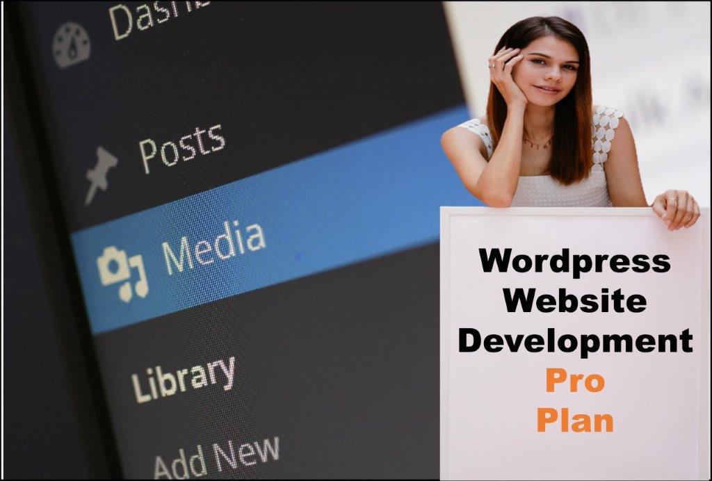 wordpress website designing in Boston Massachusetts